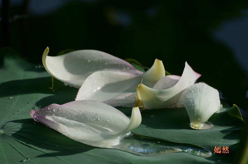 QQͼƬ20140619222707.jpg