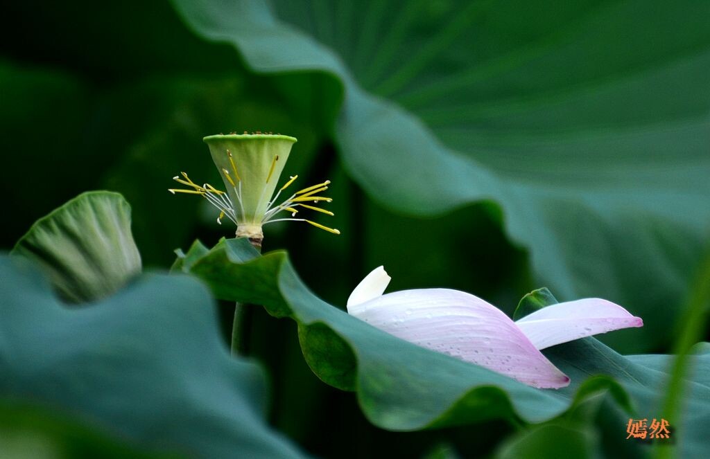 QQͼƬ20140621220622.jpg