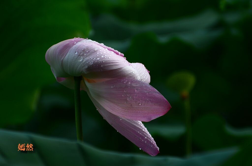 QQͼƬ20140627213537.jpg