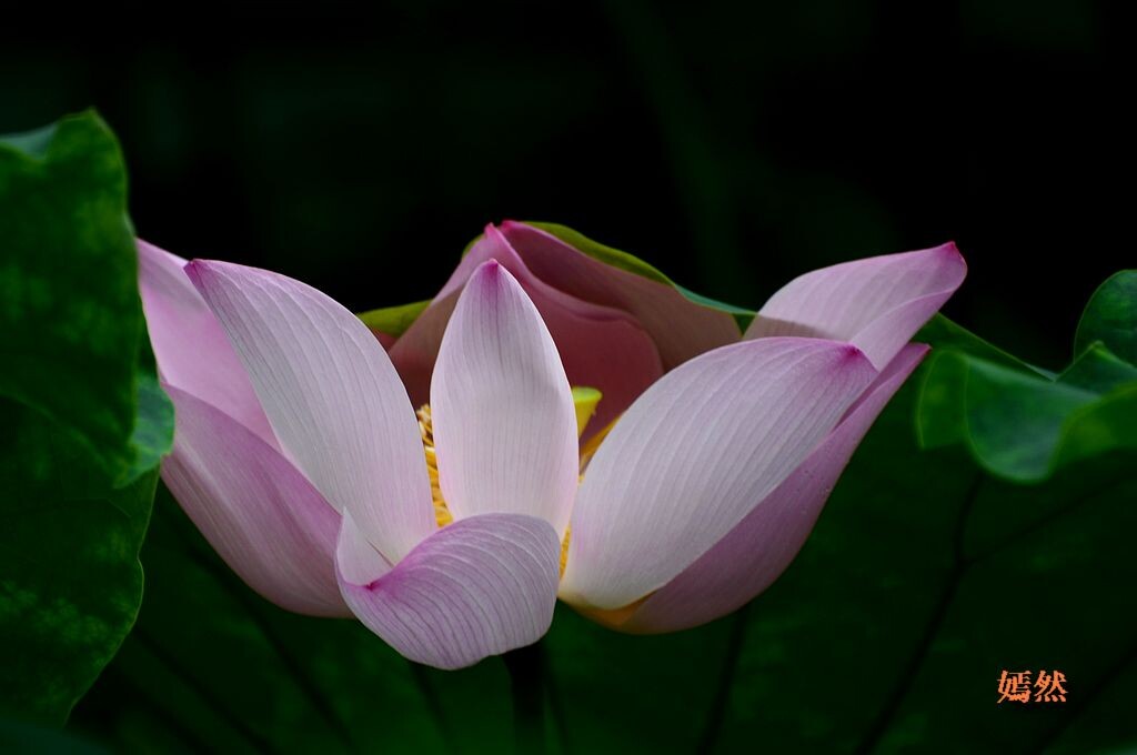 QQͼƬ20140621220455.jpg