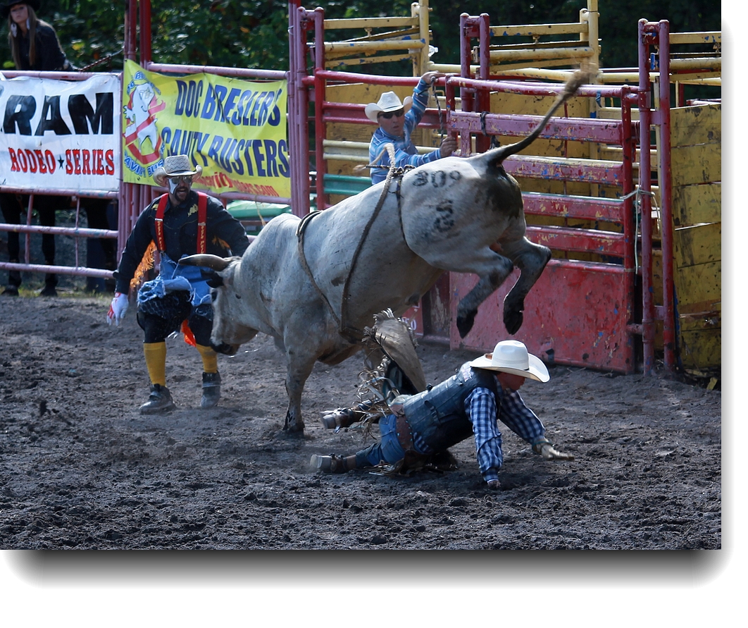 IMG_1726a.jpg