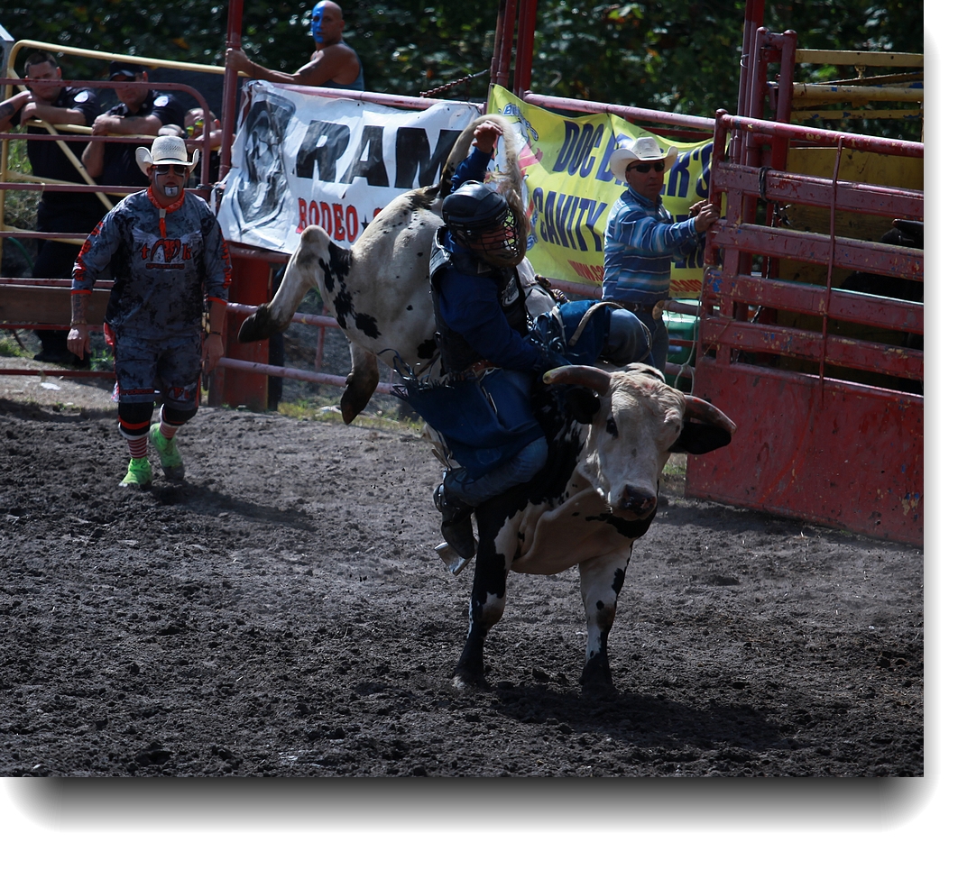 IMG_0828a.jpg