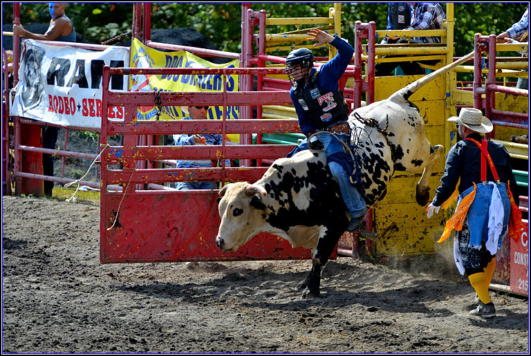 DSC_2338_.jpg