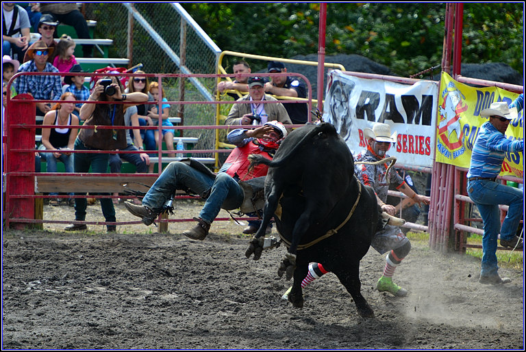 DSC_2393_.jpg
