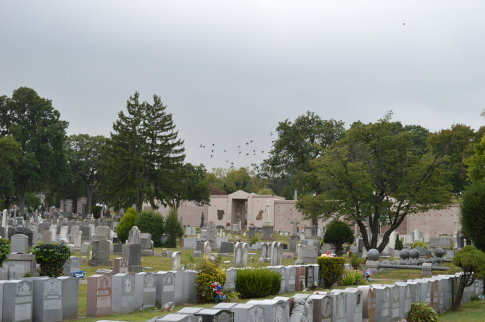 DSC_0047.jpg