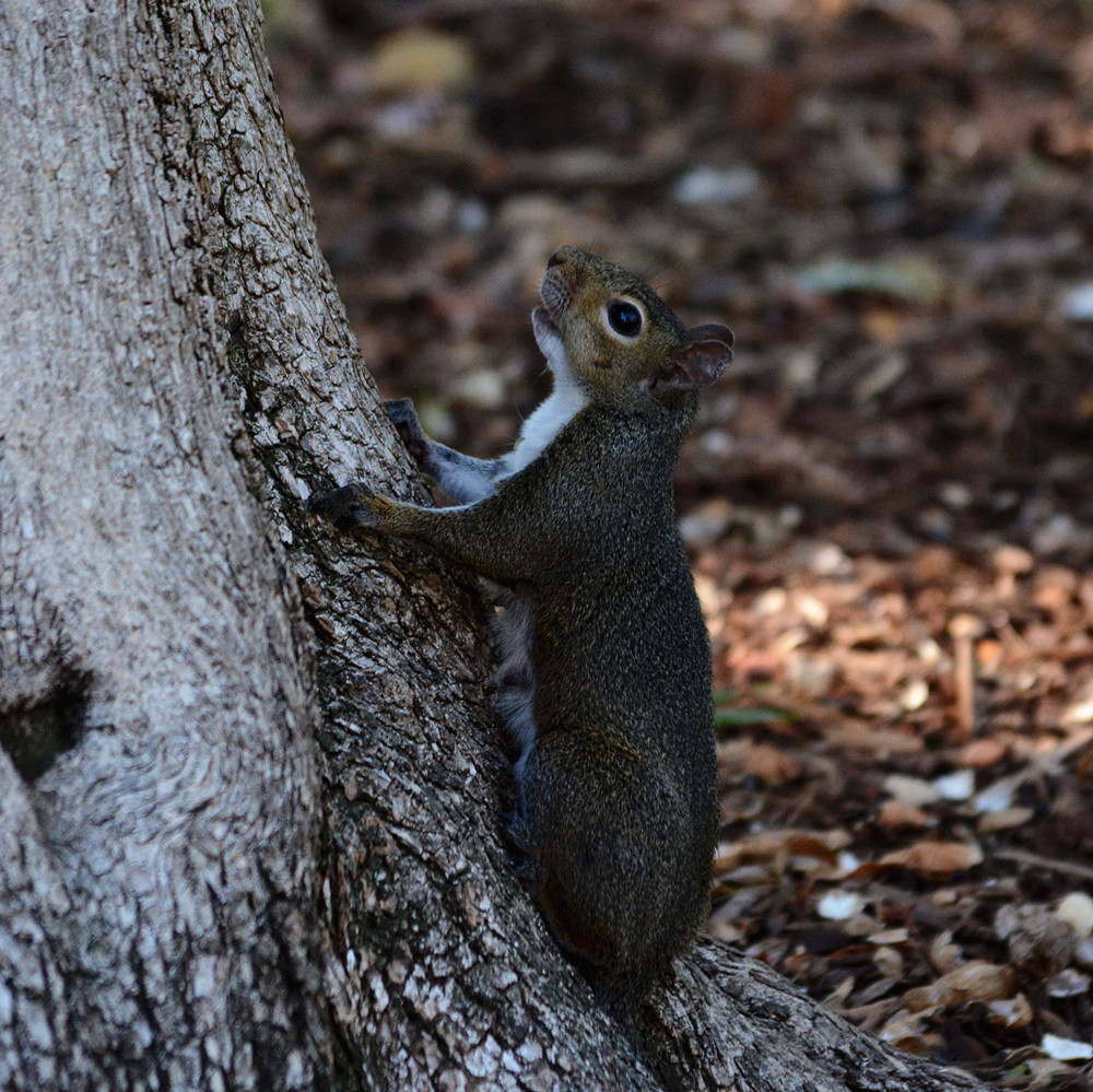 DSC_5408_23.jpg