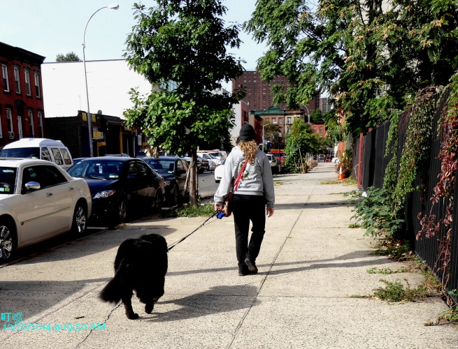 DSC03942a_1.jpg