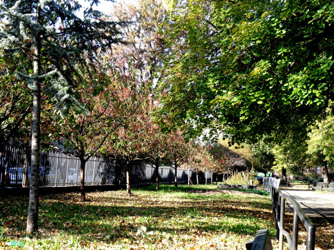DSC03992a_1.jpg