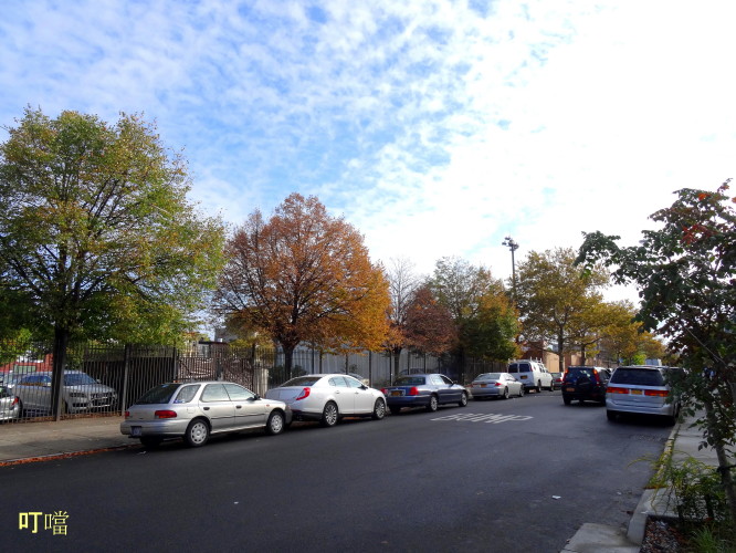 DSC03816a_1.jpg