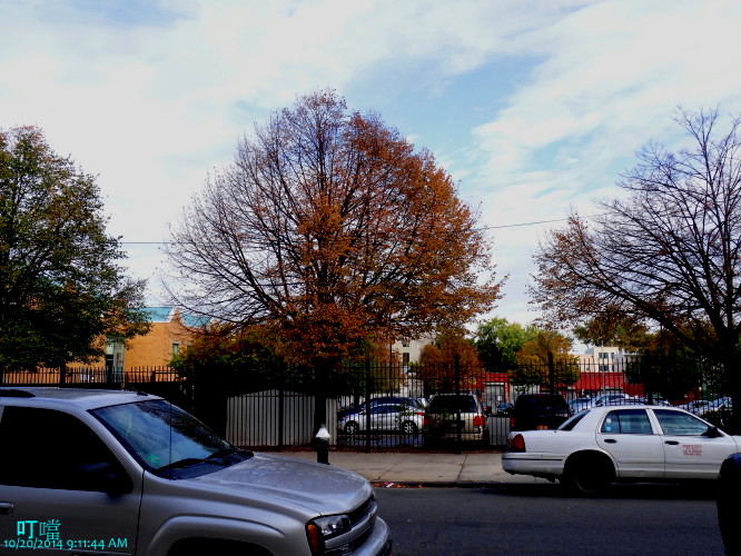DSC03936a_1.jpg