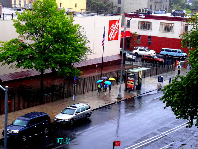 DSC03698a_1.jpg