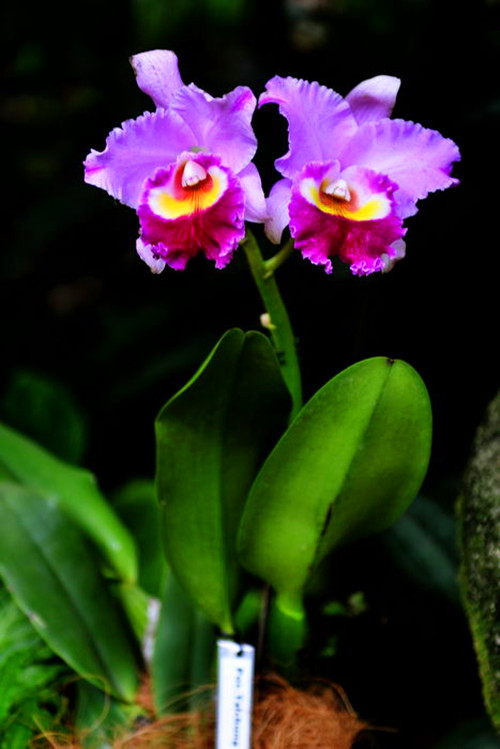 001CnBiNty6KB4NzPVd5f&amp;690_.jpg