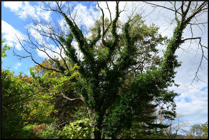 DSC_5170.jpg