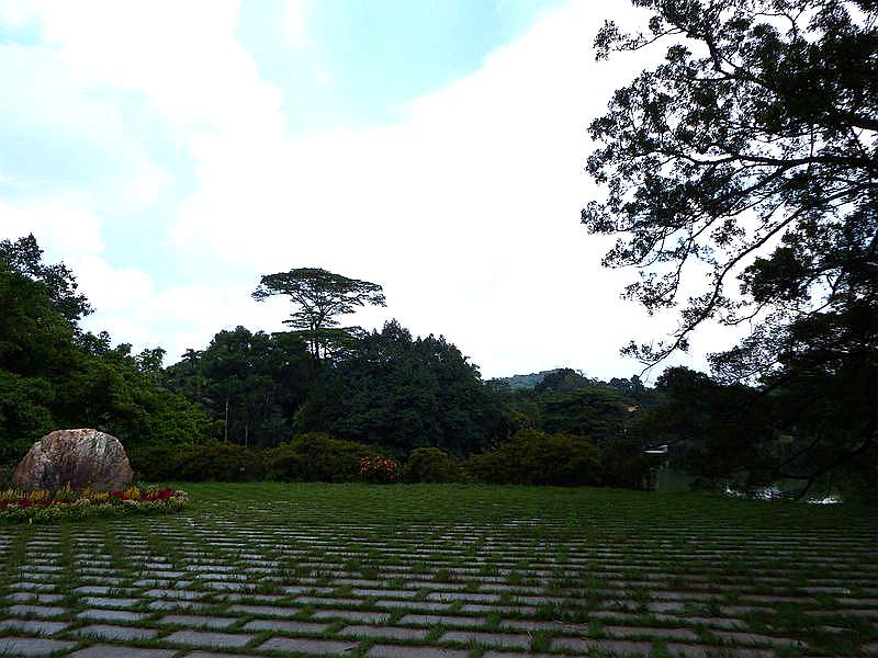 DSCF0326.jpg