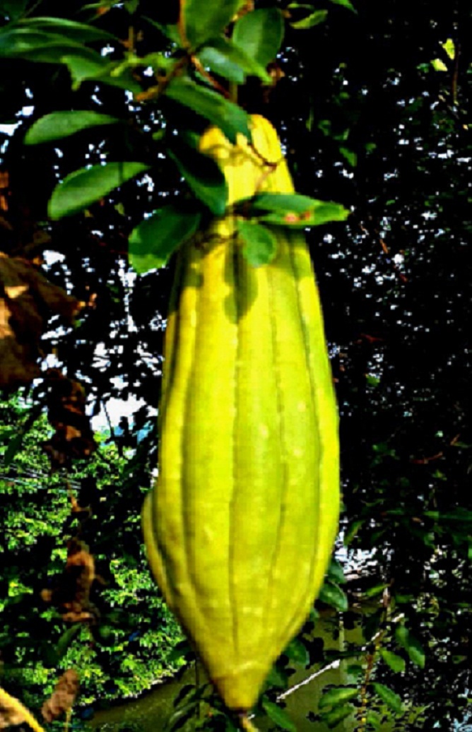 20141015_151612.jpg