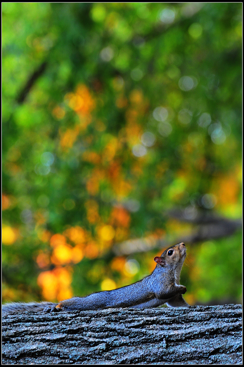 DSC_9984.JPG