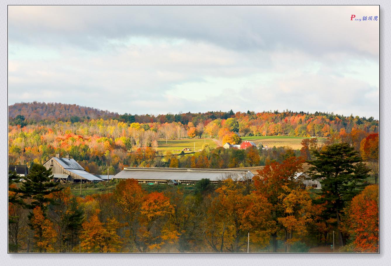 �}�u -10-11-2014�ﾰ-4 1241-3.jpg