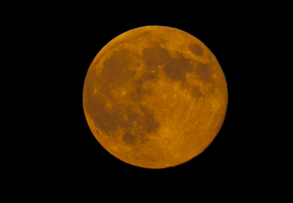 DSC_4875DSC_4875.jpg