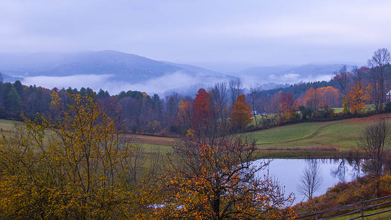 DSC_5407as.jpg