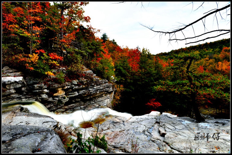 DSC_1091.jpg