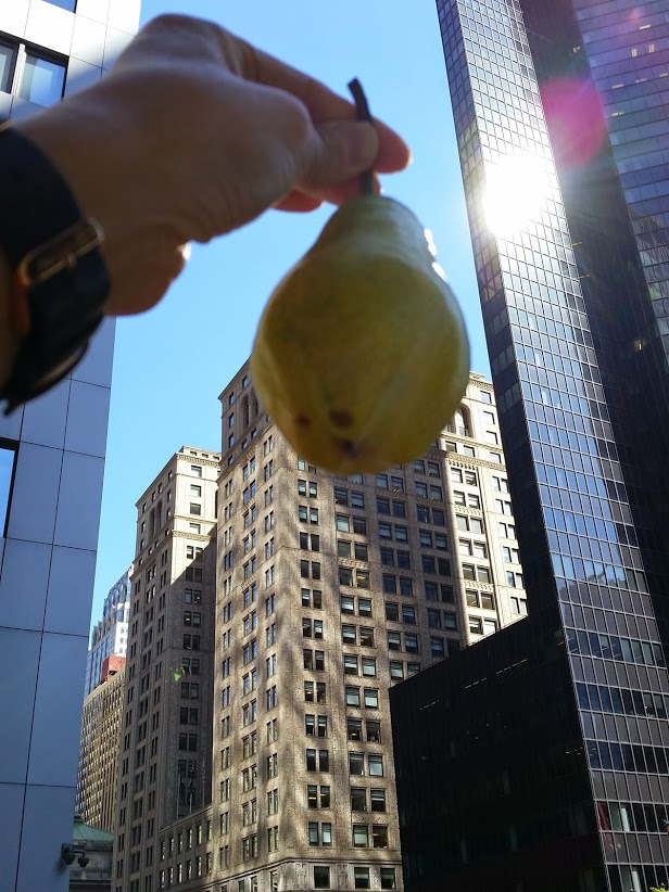 20141006_115813[1].jpg