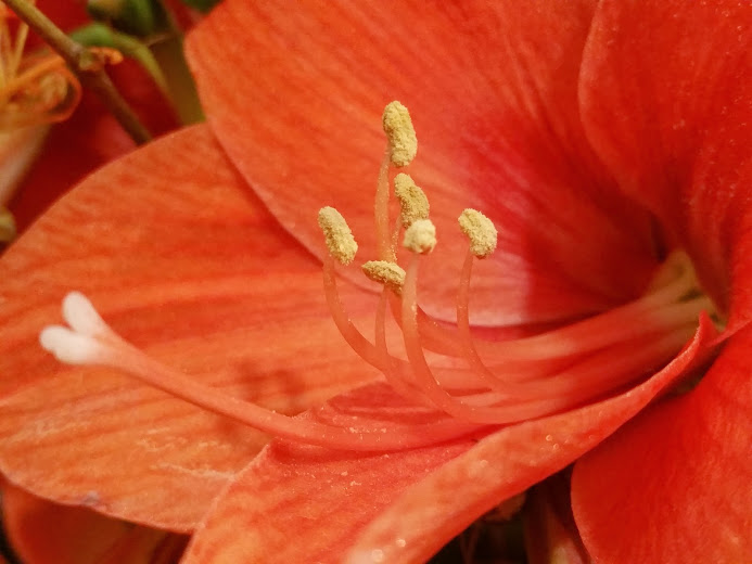 20140929_212004[3].jpg