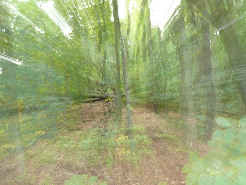 L1730478.JPG