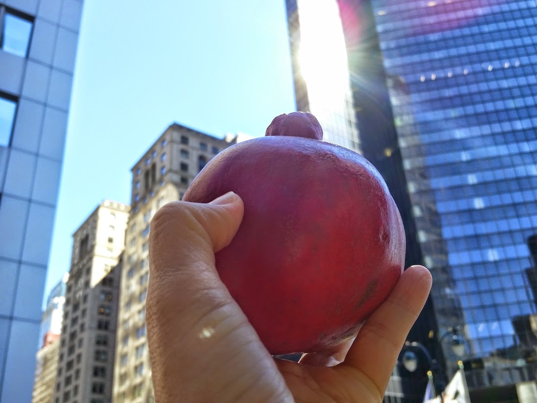 20141006_115704[4].jpg