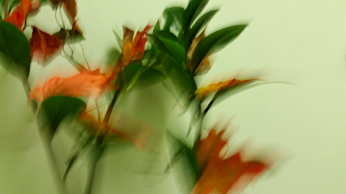 20141028_133623[1].jpg