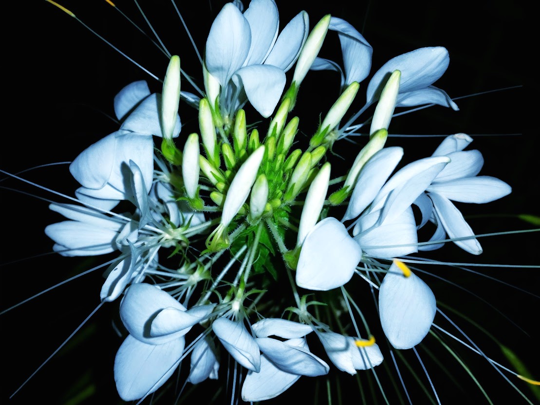 20141009_210844[4]_conew1.jpg