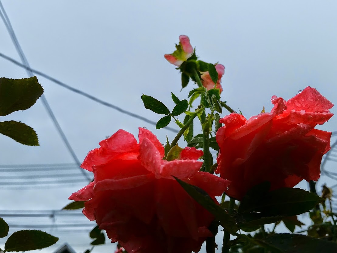 20141004_150408[2].jpg