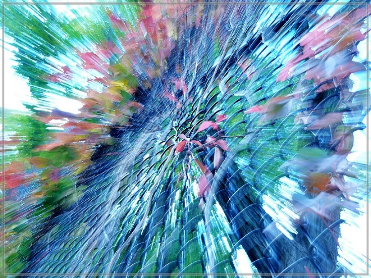 l1720649_conew1.jpg