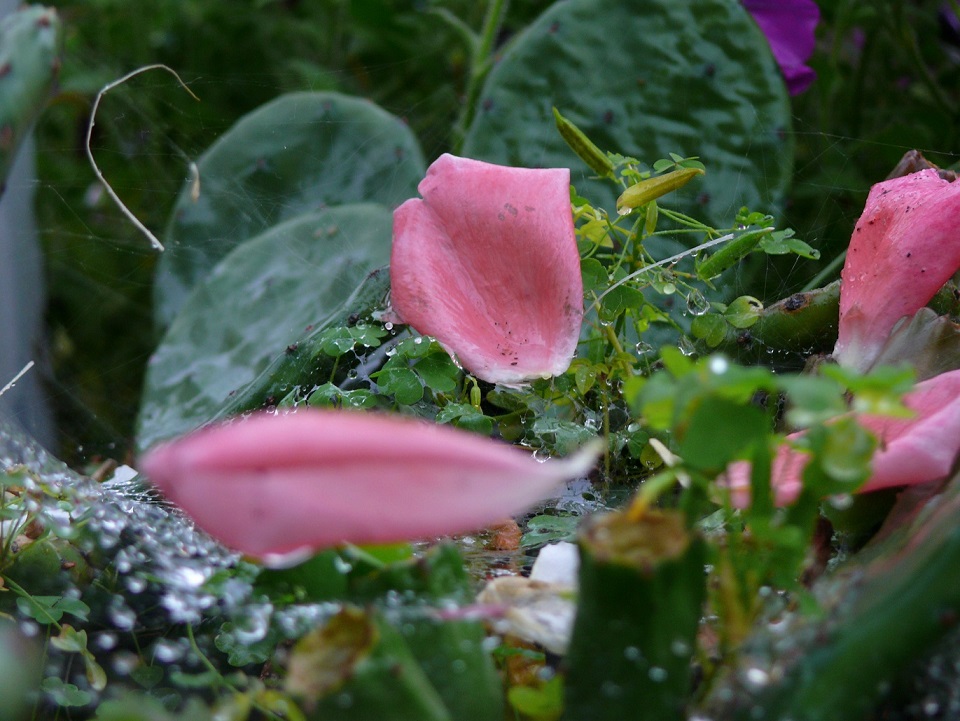 l1650785_conew1.jpg