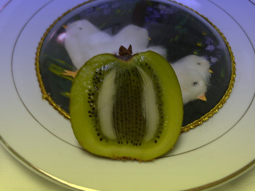 l1660169_conew1.jpg