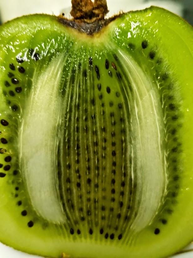 20141008_171933[1].jpg