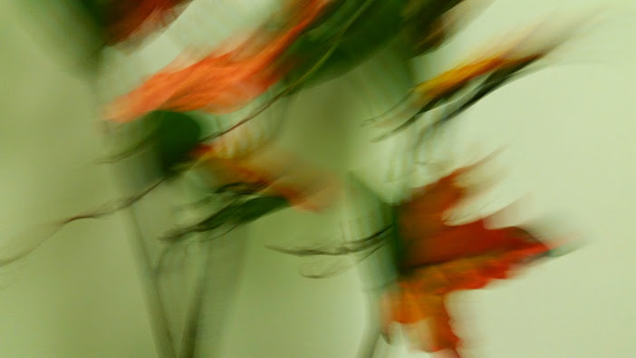 20141028_133620[1].jpg