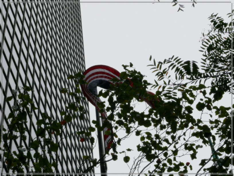 l1680097_conew1.jpg