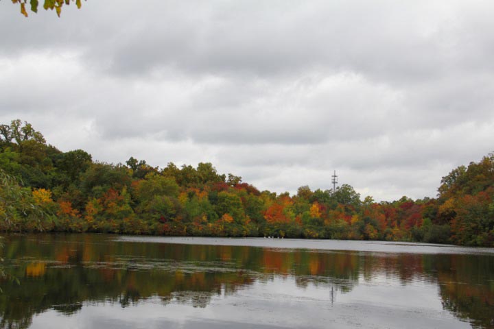 IMG_7957.JPG