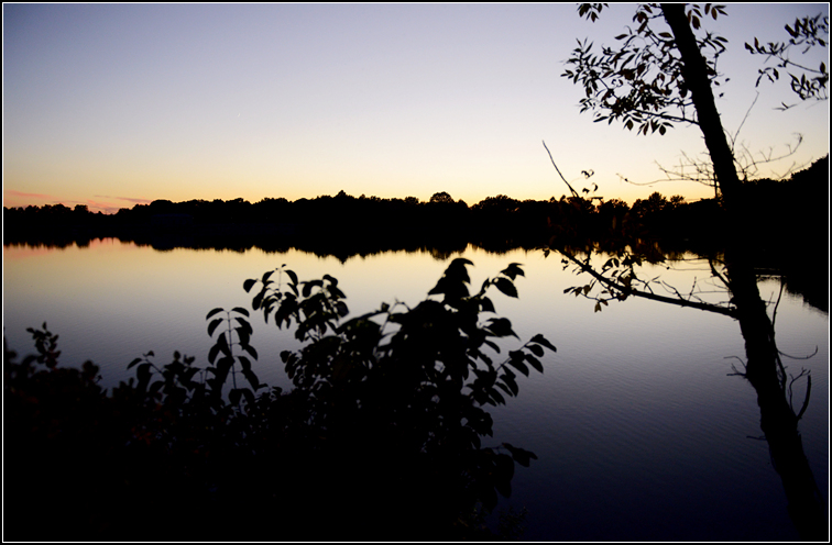 DSC_3083.jpg