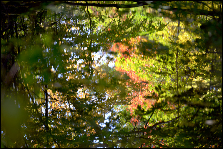 DSC_8041.jpg