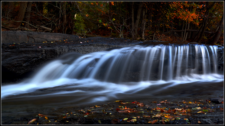 DSC_7473.jpg