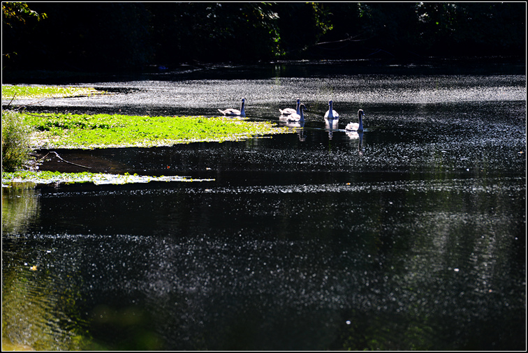 DSC_3194.jpg