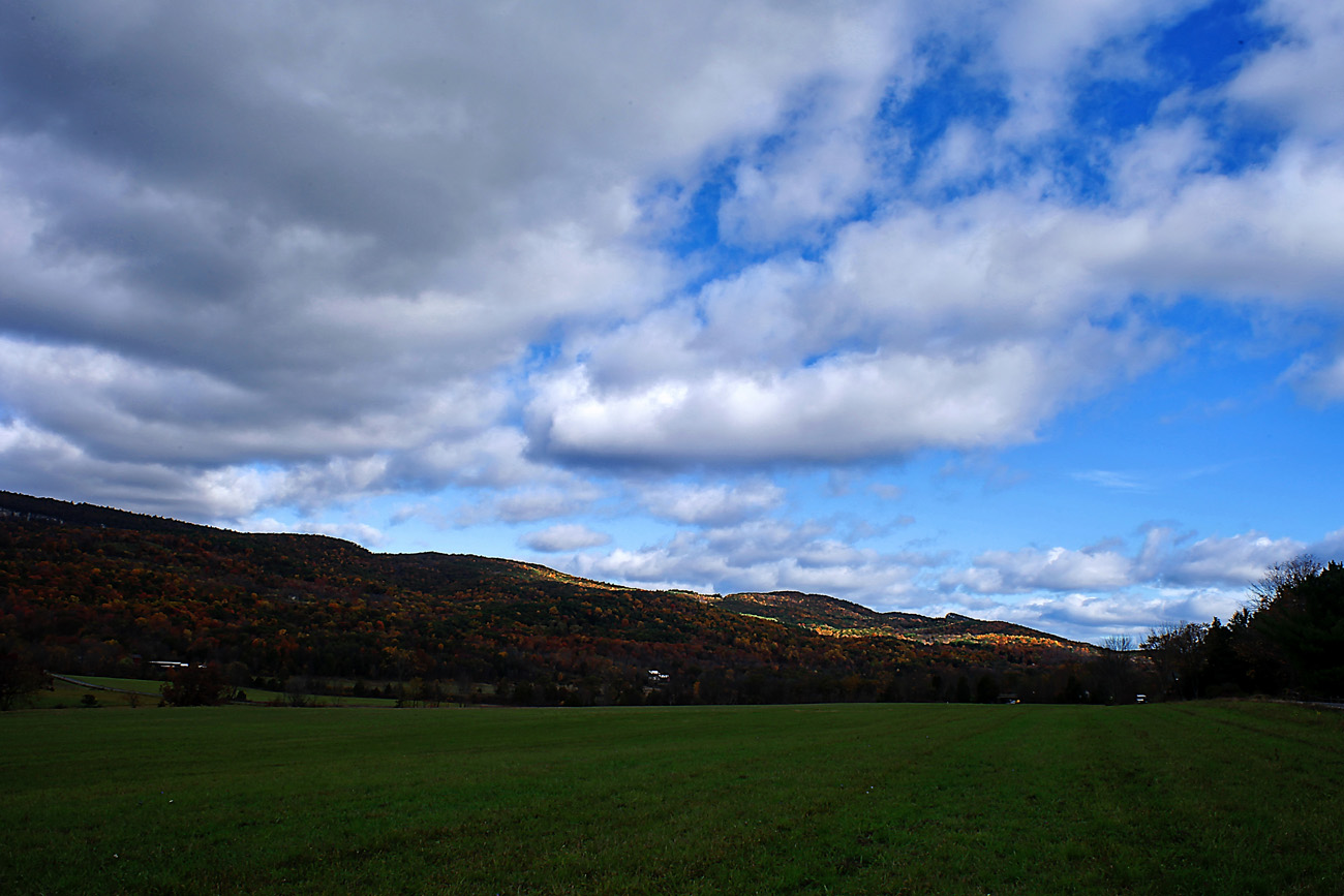 IMG00_0783.jpg