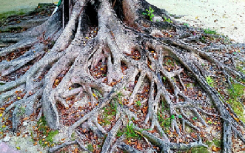20141023_151432.jpg