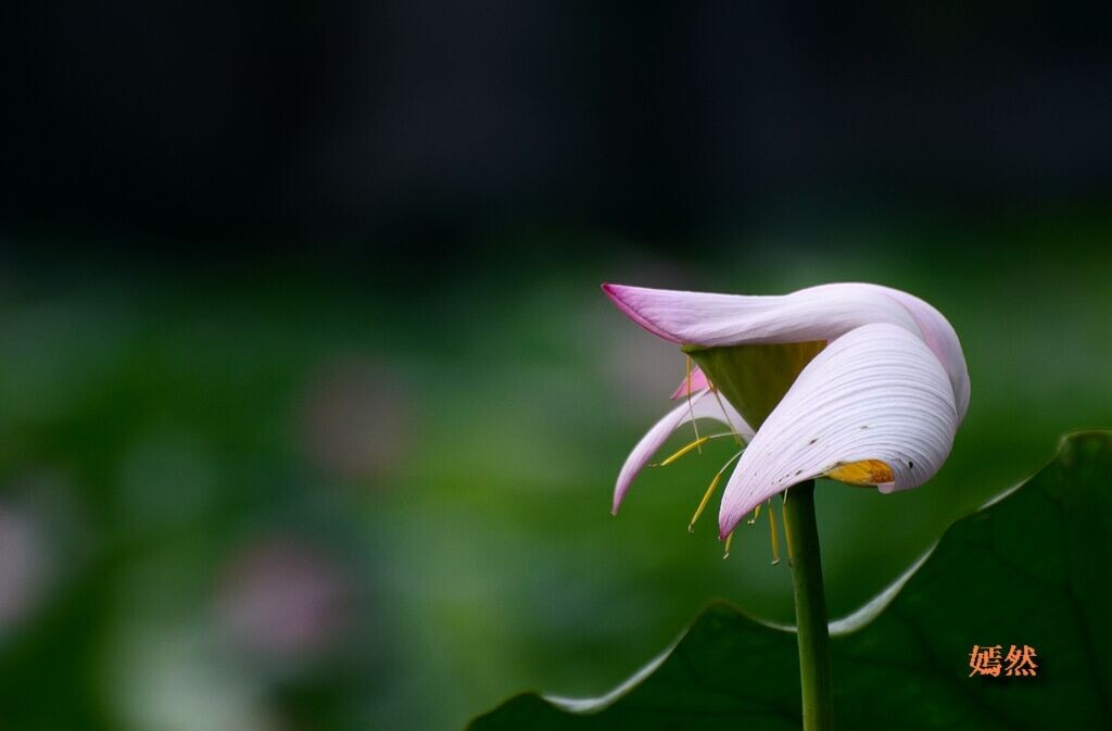 QQͼƬ20140721180821.jpg