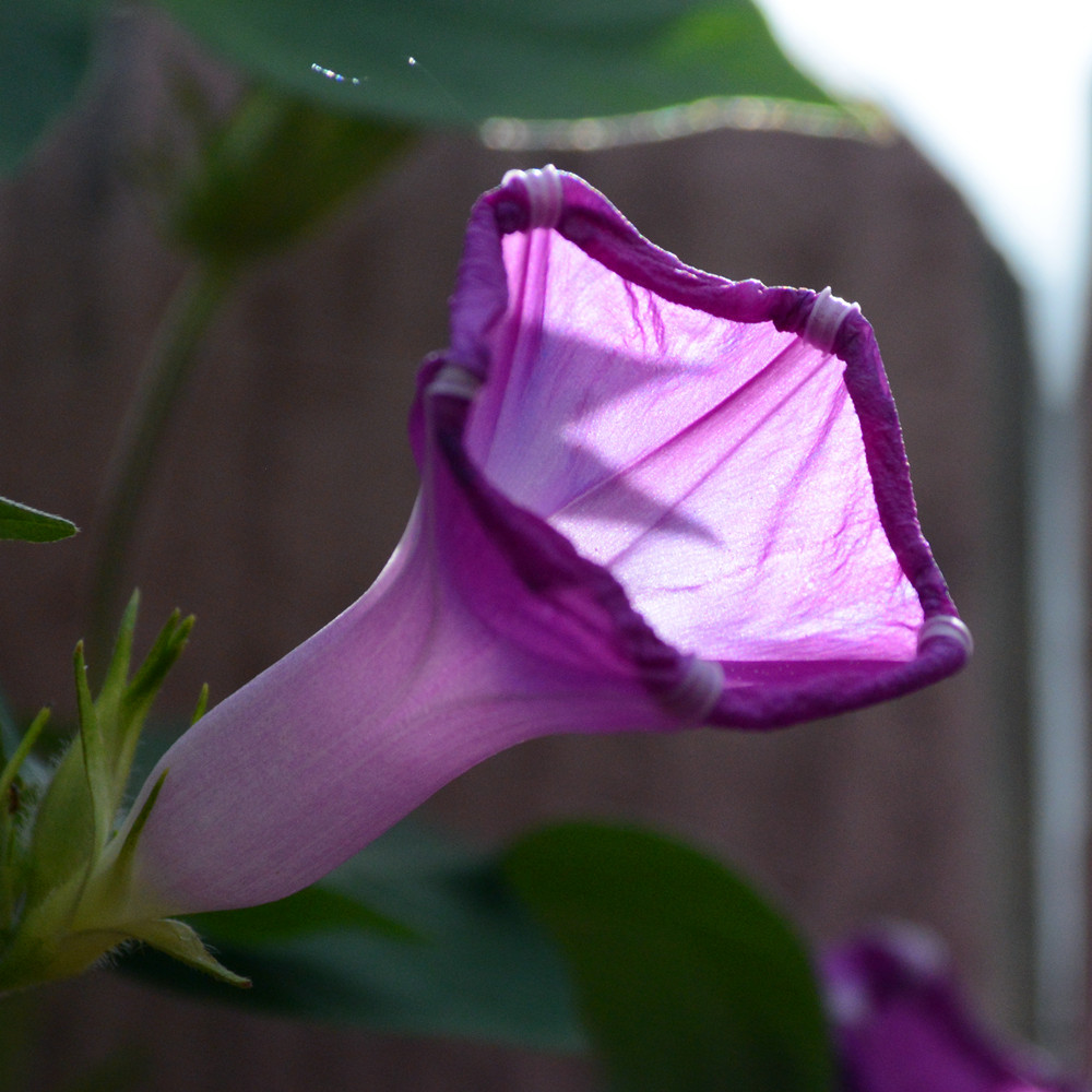 DSC_4828_38.jpg