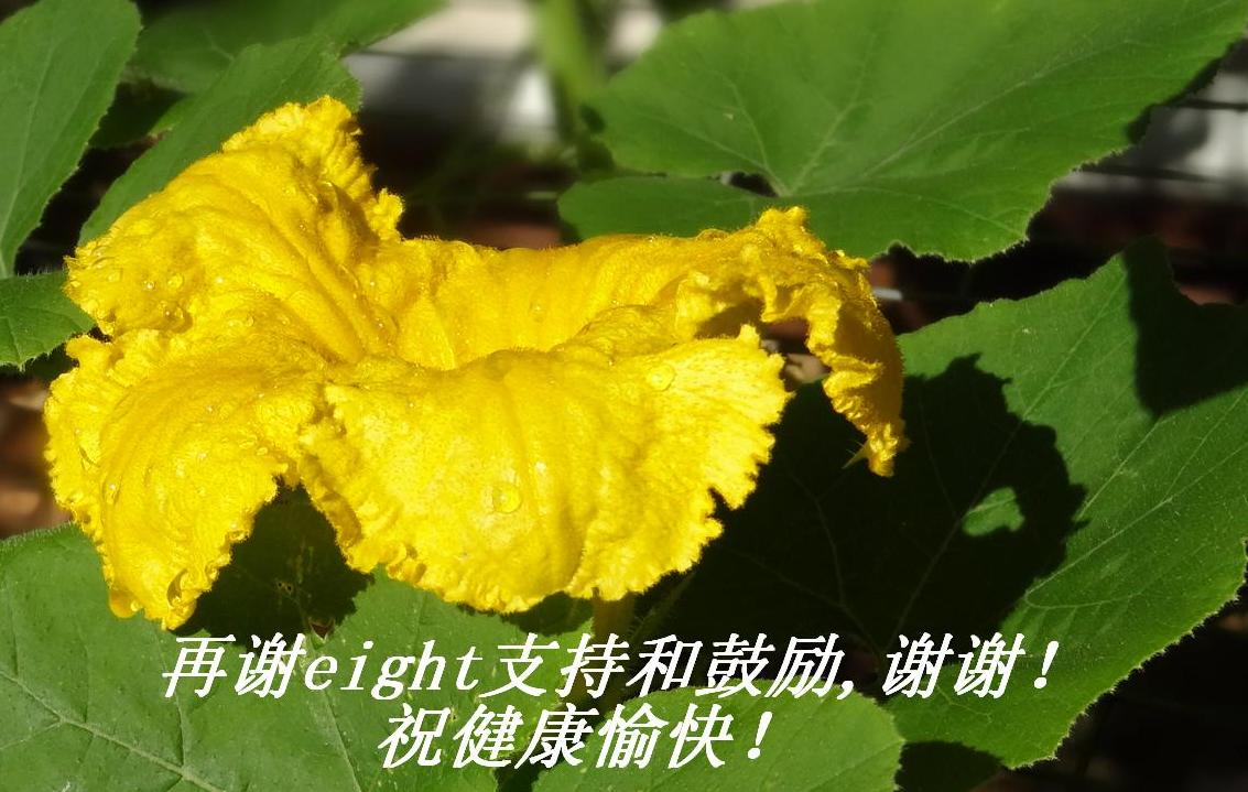 лeightֺ֧͹,ллף죡.JPG