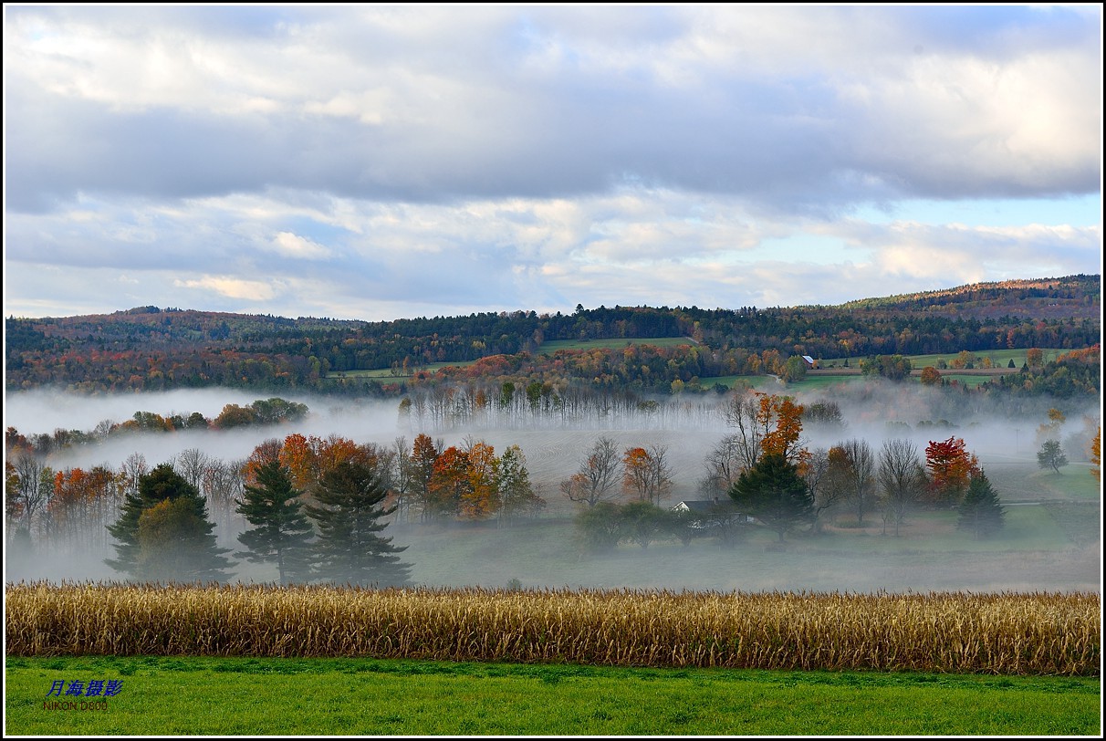 105_35199_d85f74ee250e064[1].jpg