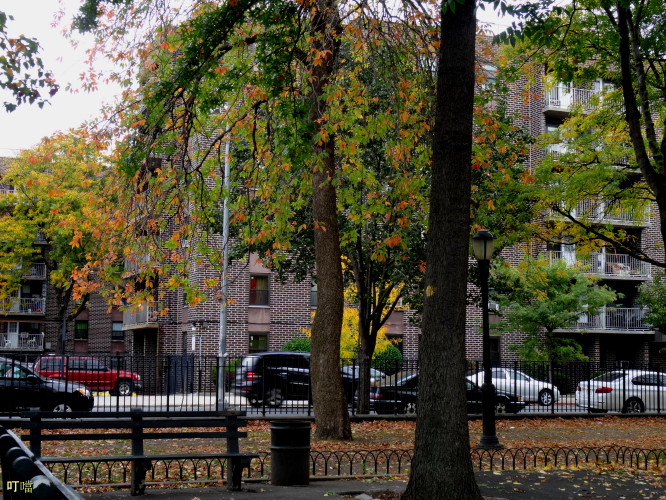 DSC03859a_1.jpg