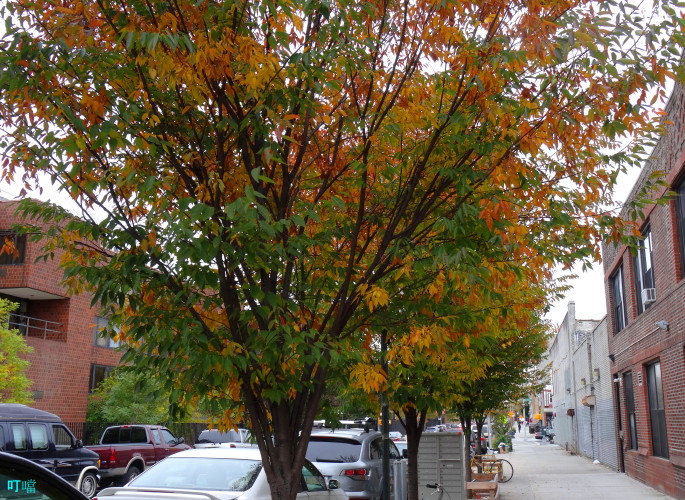 DSC04054a_1.jpg